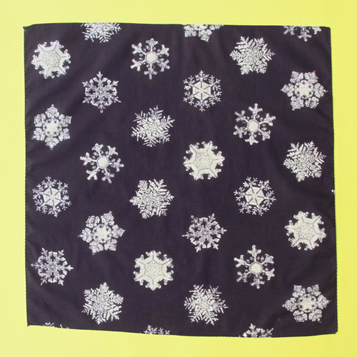 B15-K001_BANDANA_2.jpg