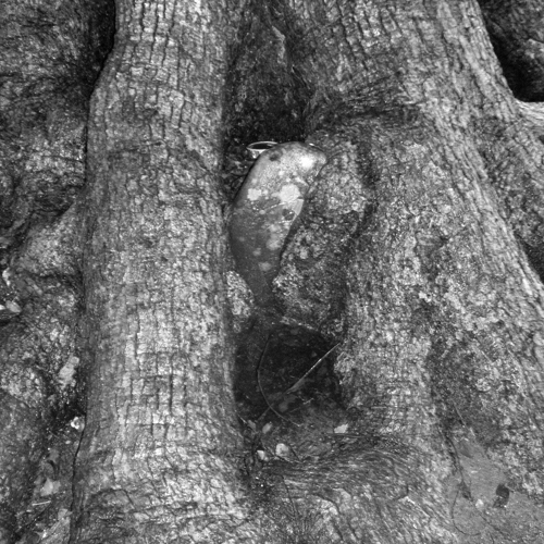 P7250374 のコピー.jpg